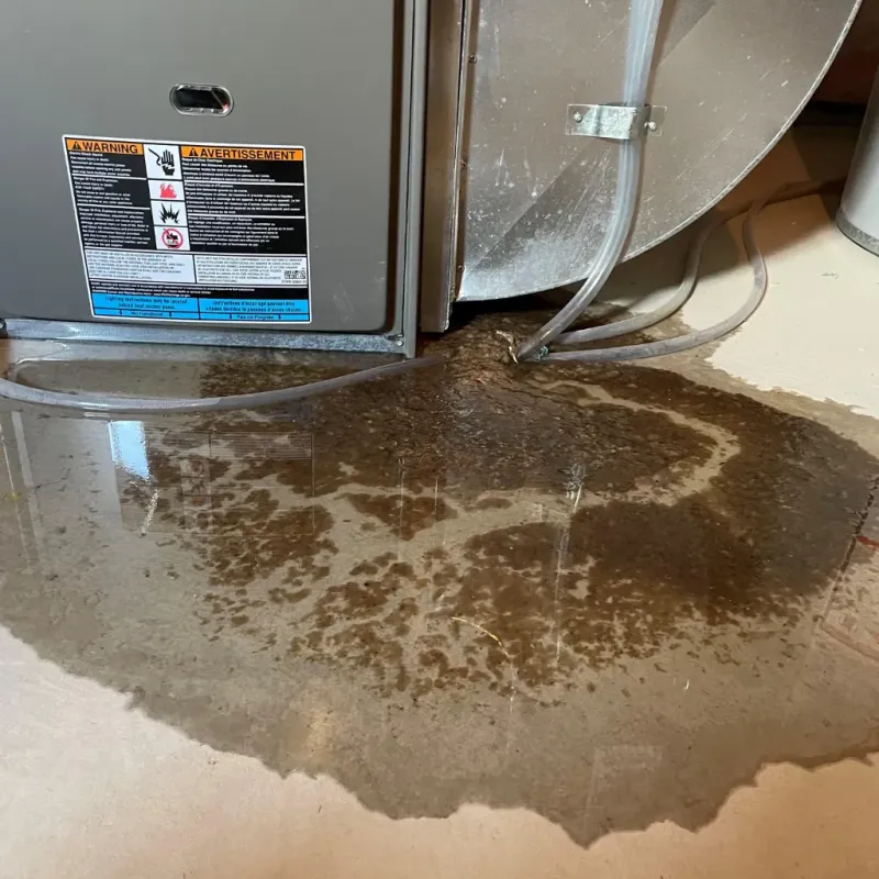 Appliance Leak Cleanup in Francestown, NH